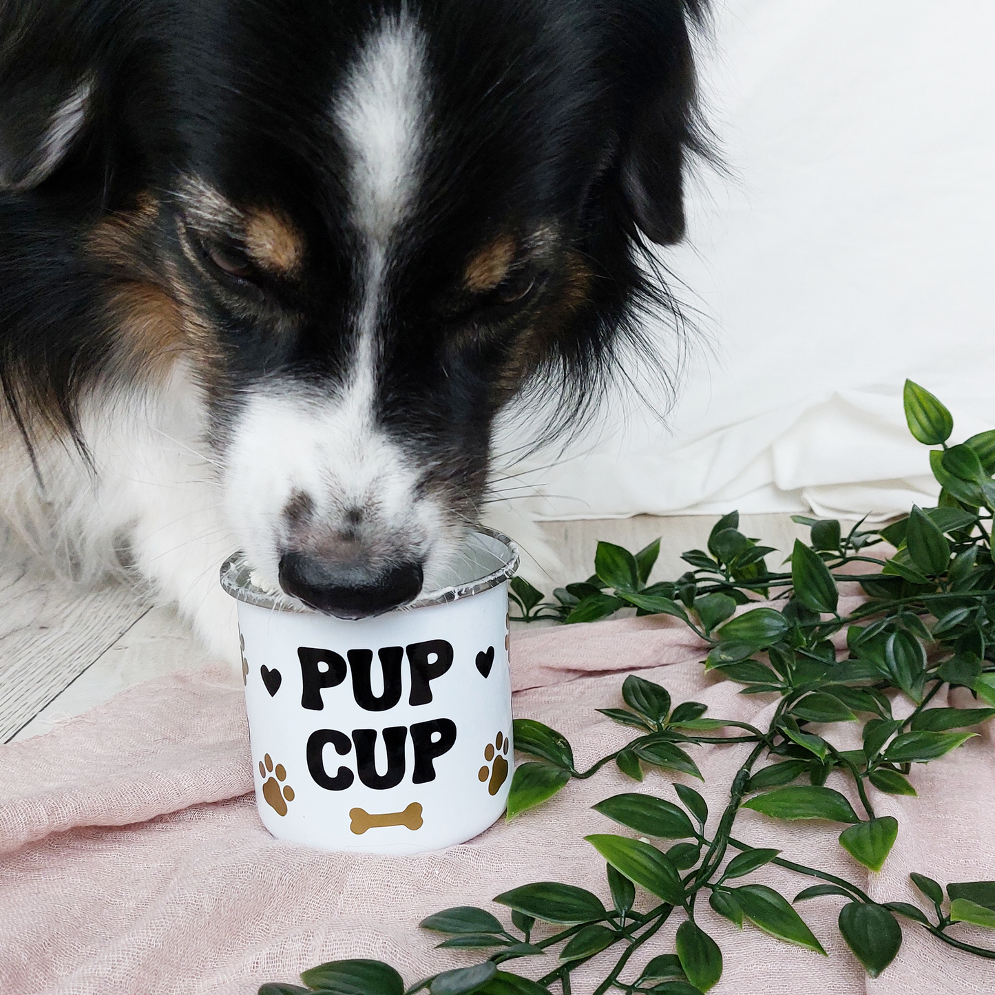 Australian Shepherd Geschenk Puppuccino Glace