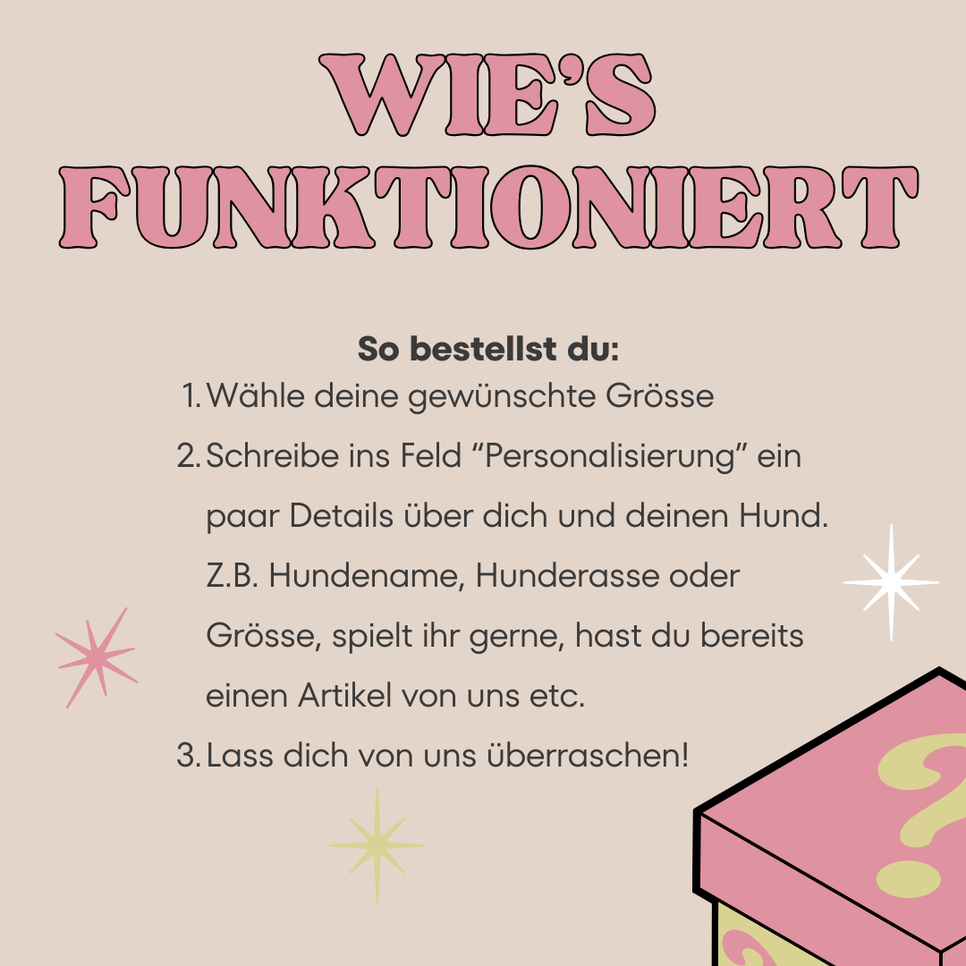 Mystery Box für Hundehalter
