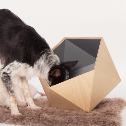 Hundespielzeugbox personalisiert