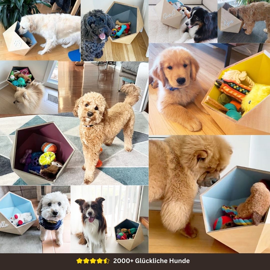 Hundespielzeugbox personalisiert