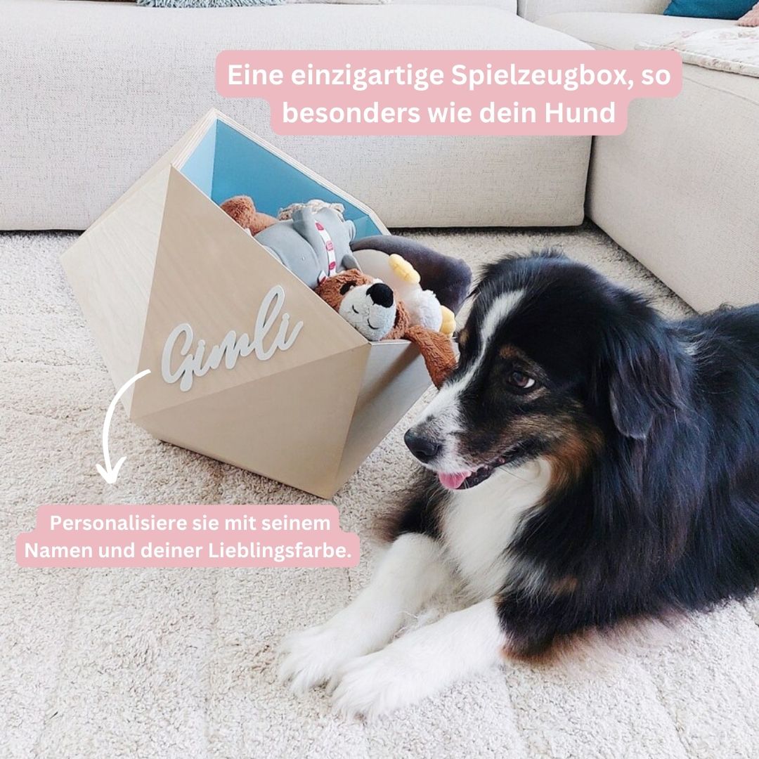 Hundespielzeugbox personalisiert