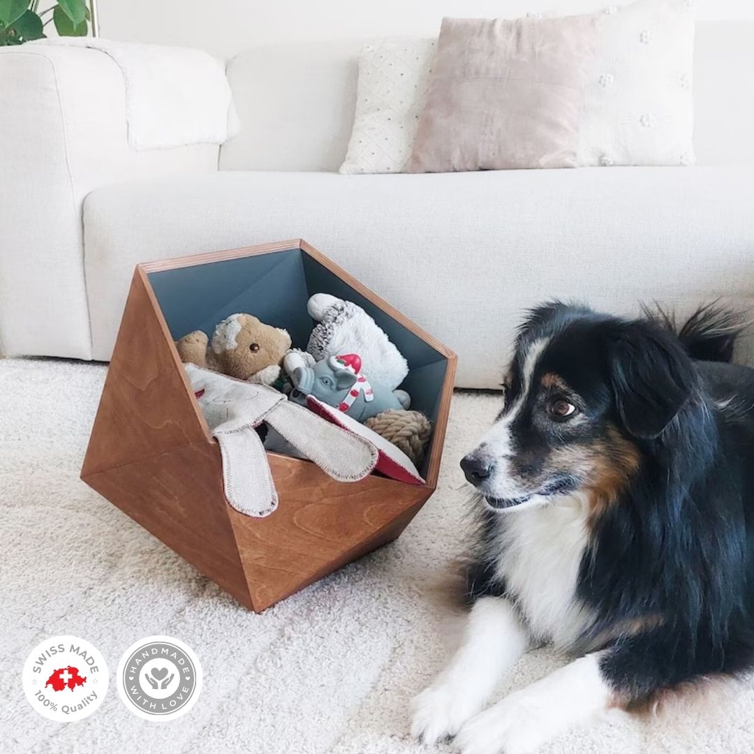 Hundespielzeugbox personalisiert