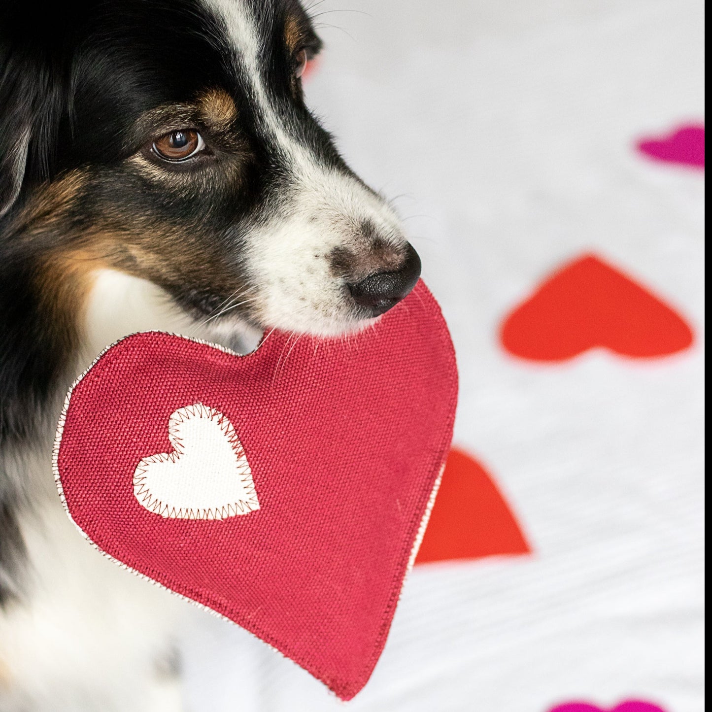 Hundespielzeug Herz Geschenk Valentinstag