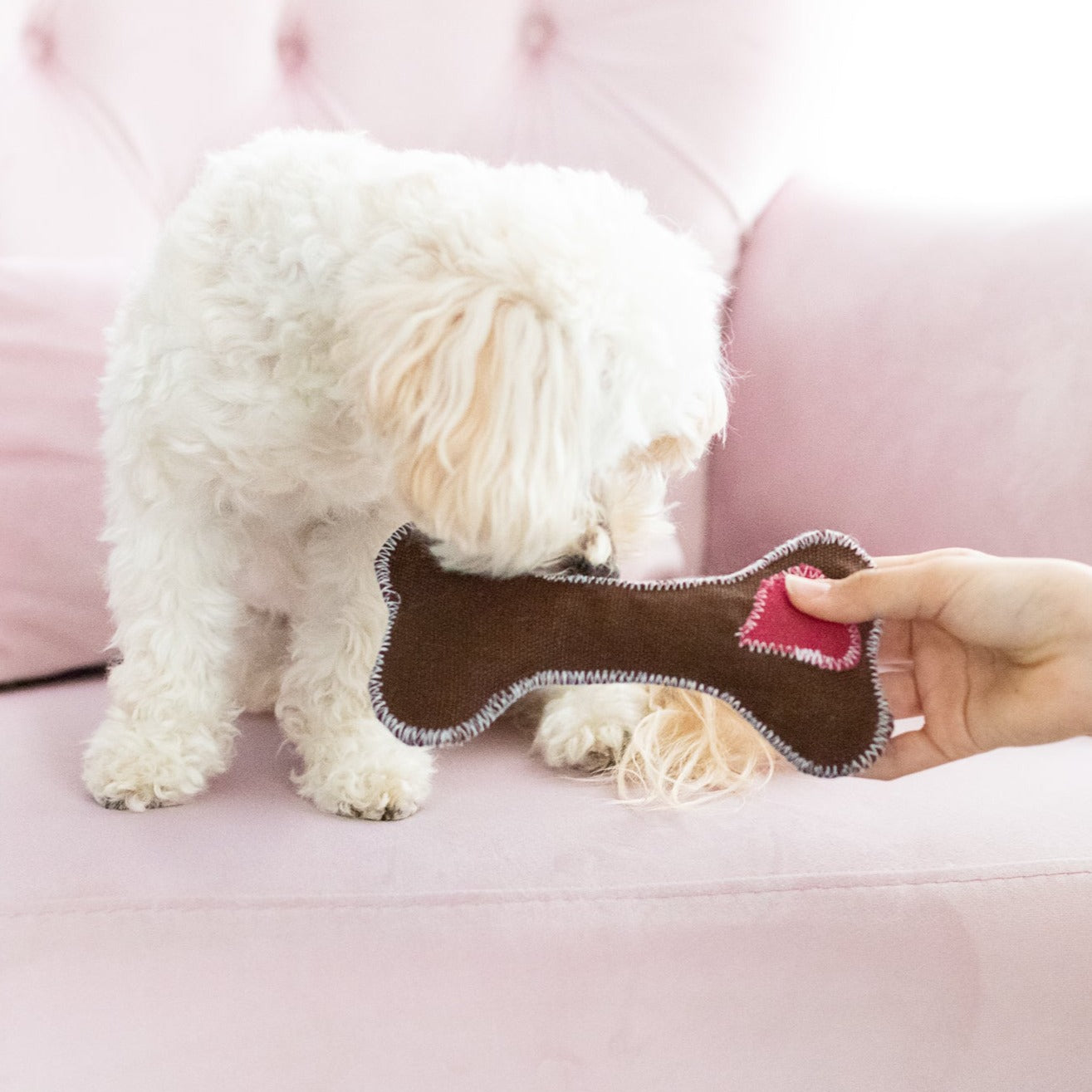 Knochen Spielzeug Plüschtier Hundespielzeug weich