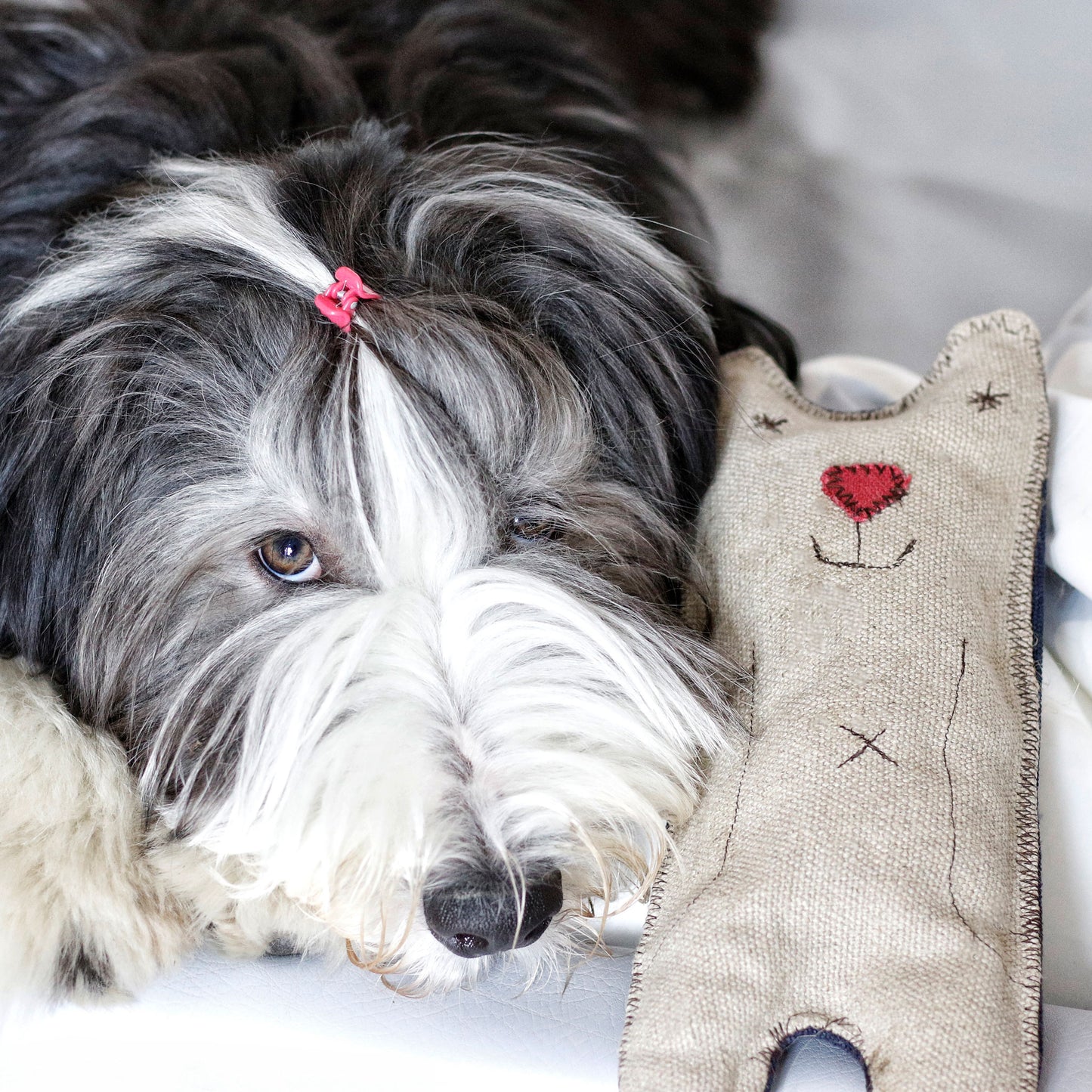 Hundespielzeug Plüschtier Bär