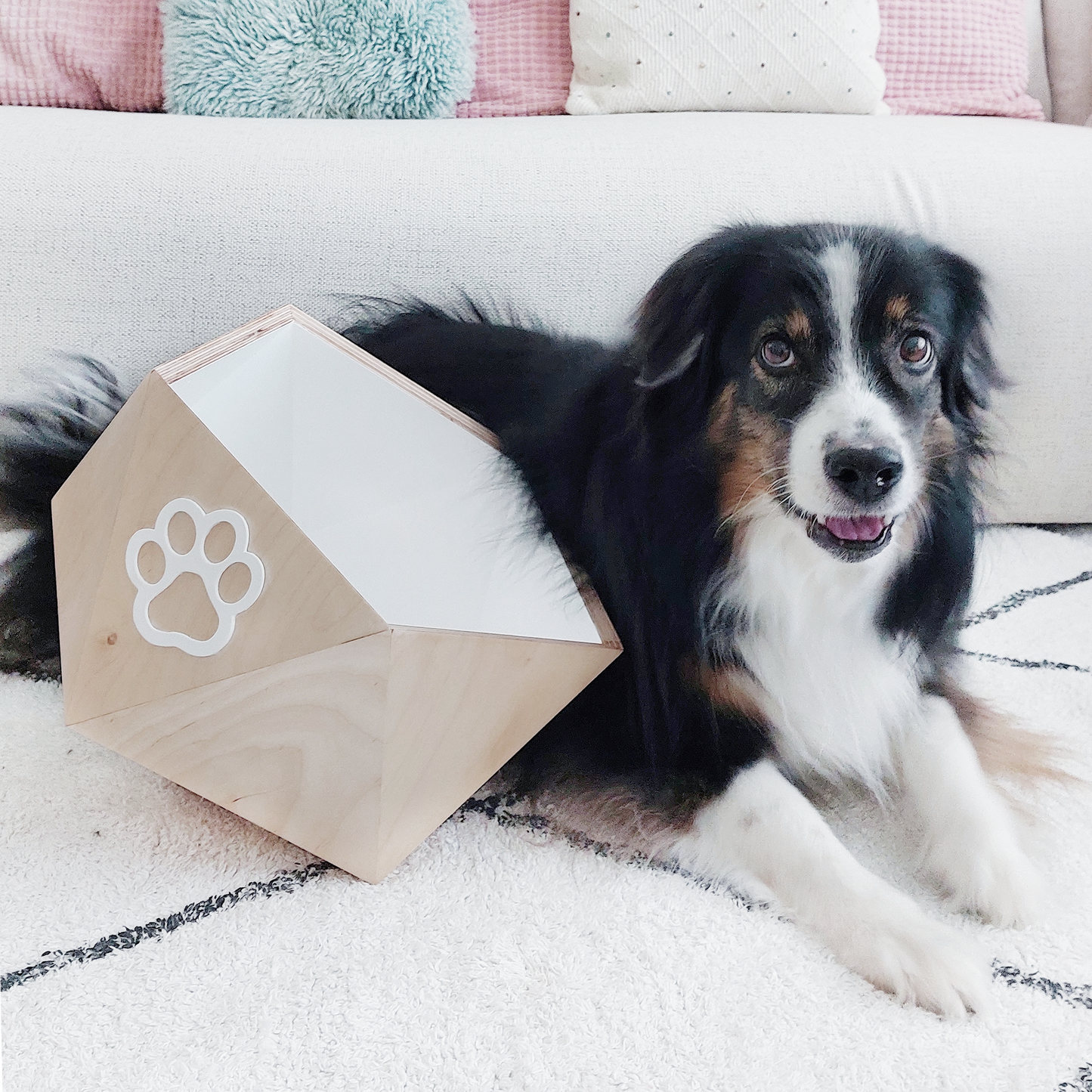 Moderne Hundespielzeugbox Dunkelgrau