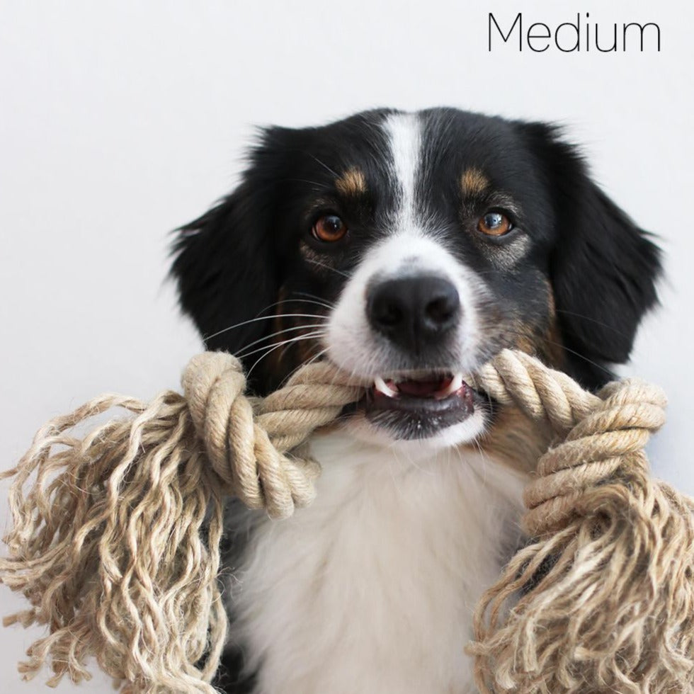 Hundespielzeug Knotenseil