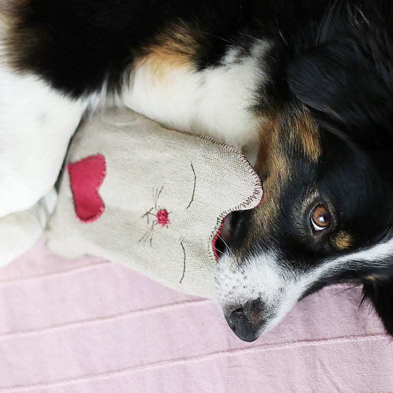 Hundespielzeug Plüschtier Katze