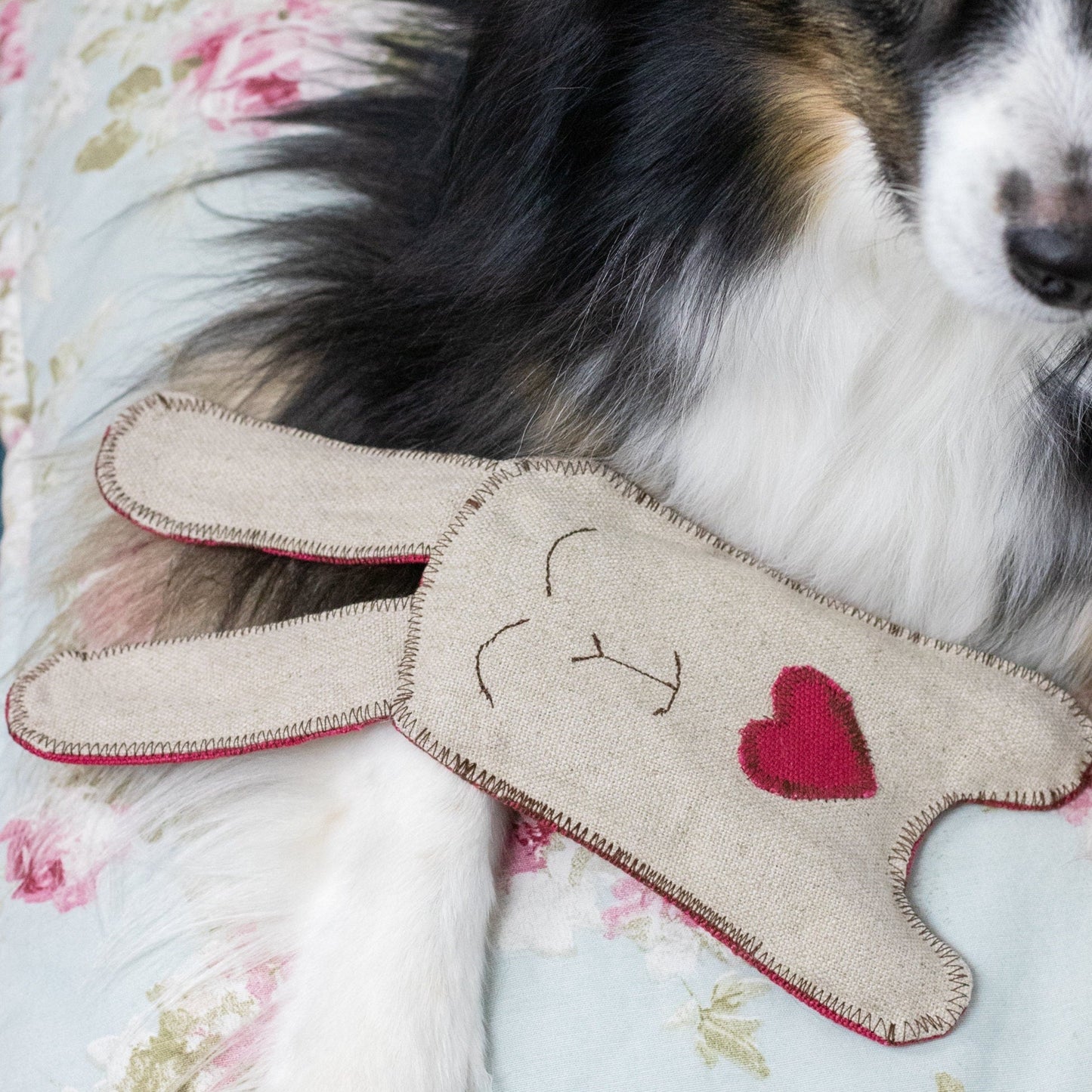 Aussie Geschenk Ostern Hunde Spielzeug