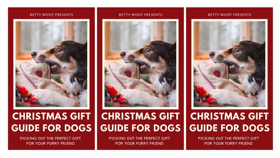 Weihnachtsgeschenke für Hunde: Geschenkideen