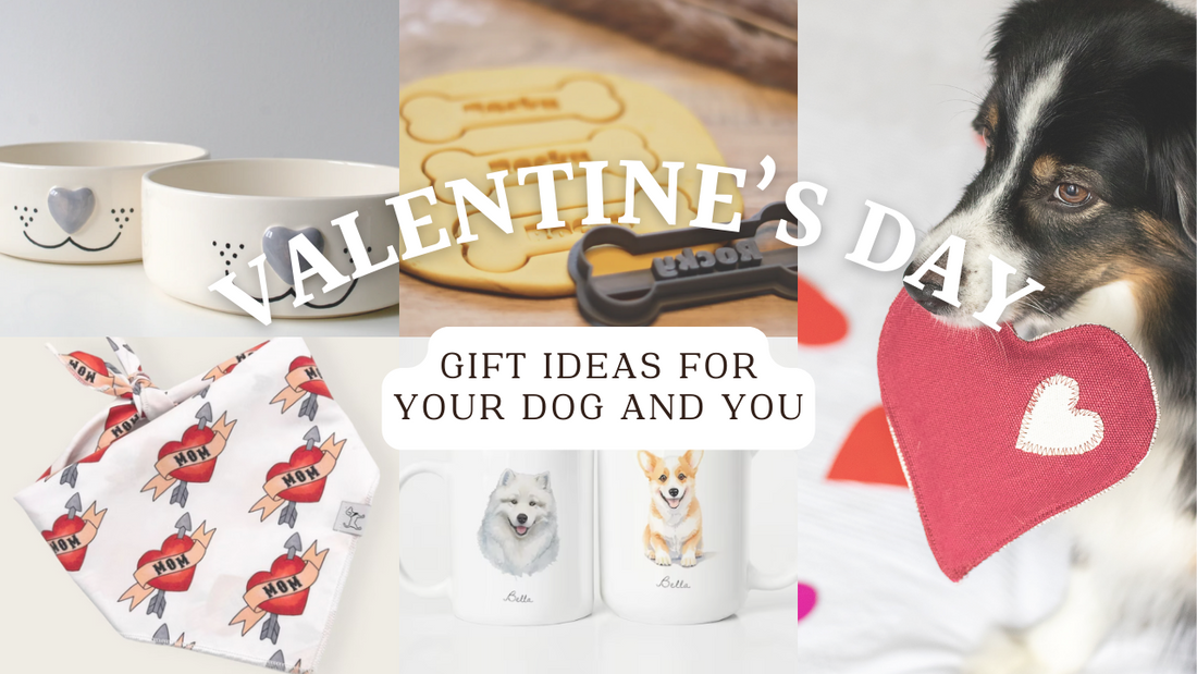 Valentinstag Ideen für dich und deinen Hund