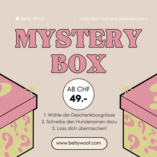 Mystery Box für Hundehalter