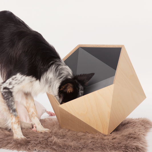 Moderne Hundespielzeugbox Dunkelgrau