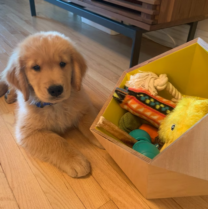 Spielzeugkiste für Hunde gelb