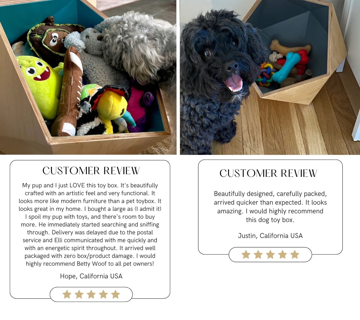 Hundespielzeugbox personalisiert